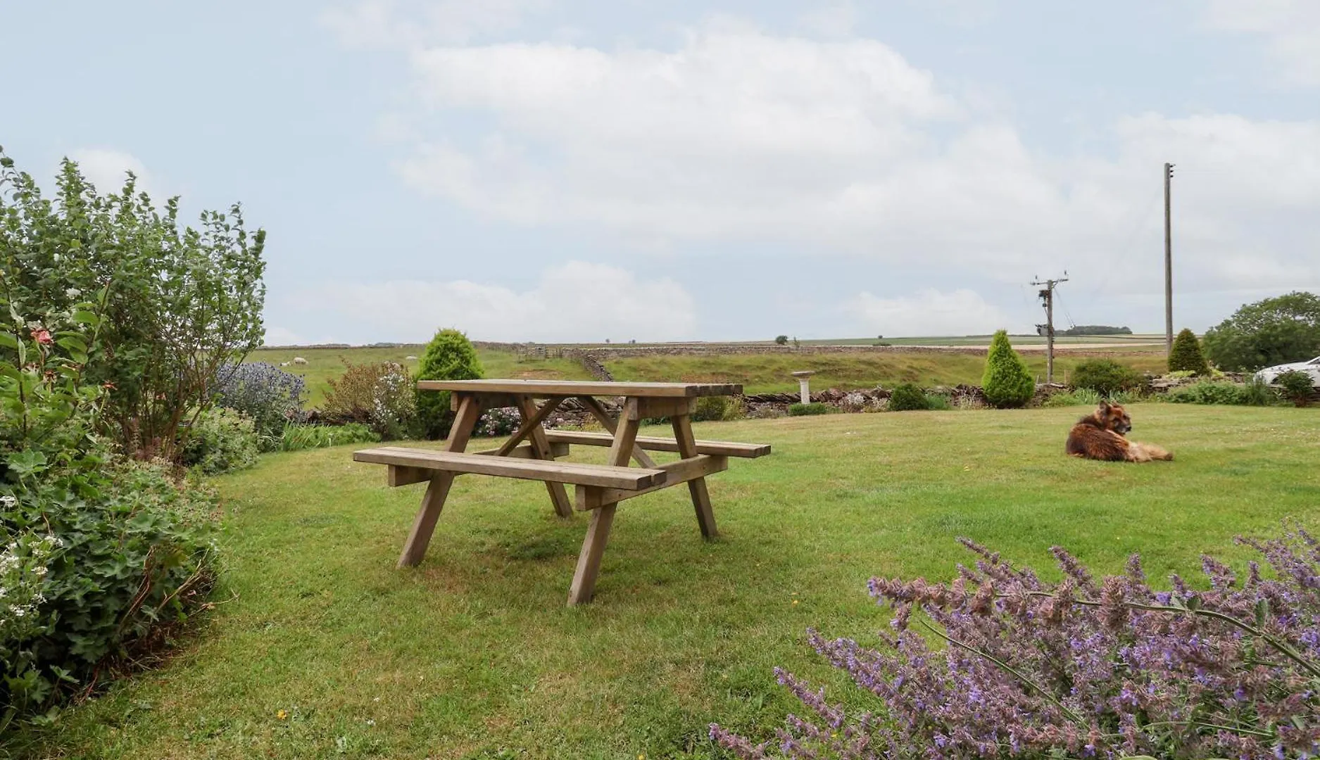 Wethercote Cottage Cold Kirby 度假居